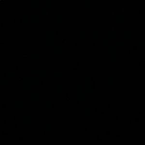 Meet your Posher, Maya